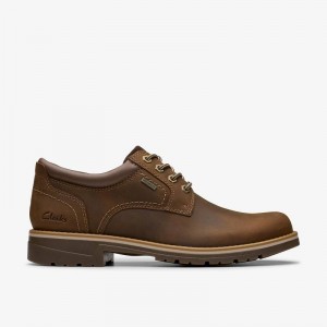 Clarks Morwell Plain Marrones | CLKS-84438