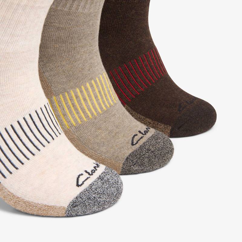 Clarks 3 Pack Ankle Sport Sock Marrones | CLKS-84195