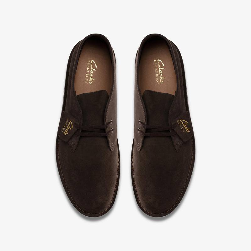 Clarks Desert Boot Evo Marrones Oscuro | CLKS-84469