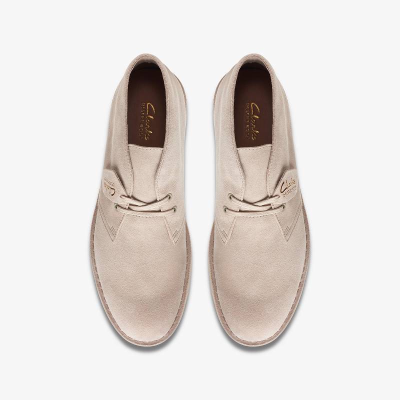 Clarks Desert Boot Evo Marrones | CLKS-84373