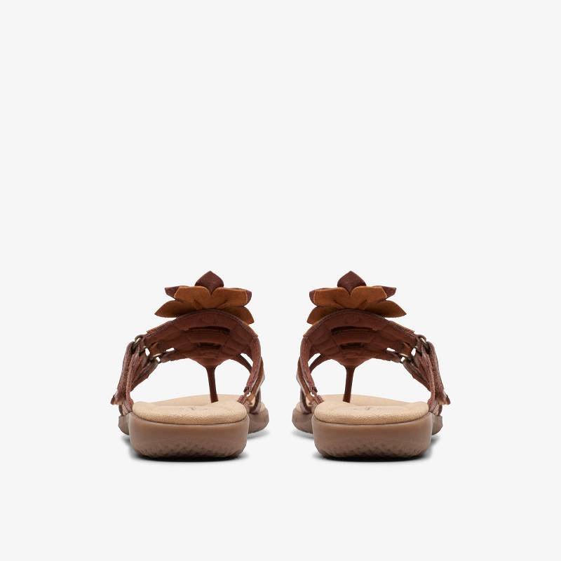 Clarks Elizabelle Mae Marrones | CLKS-84967