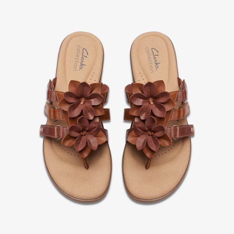 Clarks Elizabelle Mae Marrones | CLKS-84967