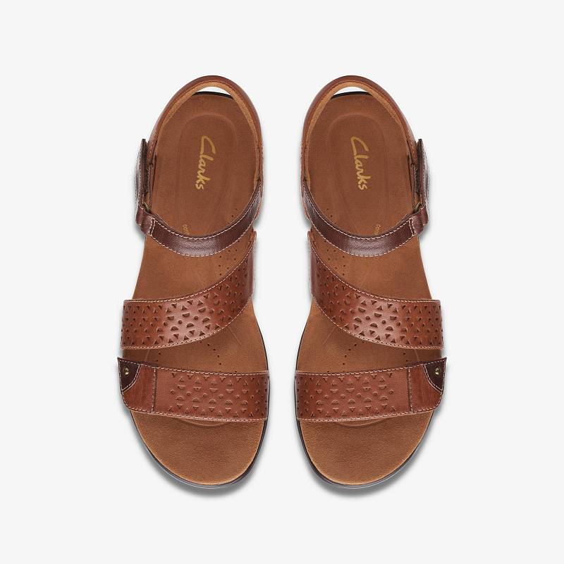 Clarks Kitly Way Marrones | CLKS-84942