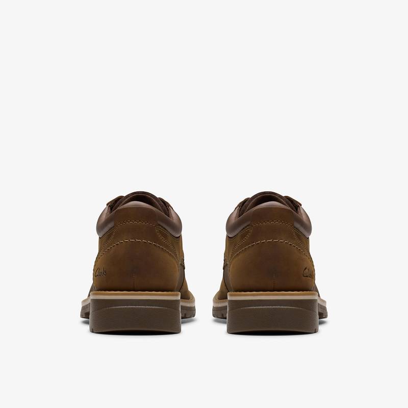 Clarks Morwell Plain Marrones | CLKS-84330